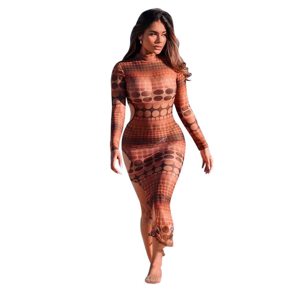 Women's Fashion Mesh Sheer Long Sleeve Swimsuit Dress